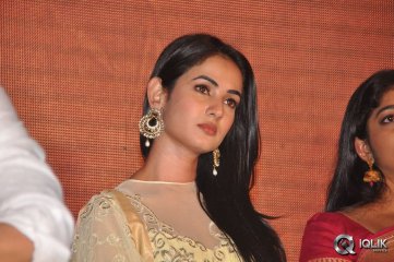 Legend Movie Success Meet